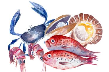 挪威冰鲜三文鱼大西洋鲑鱼进口报关全流程