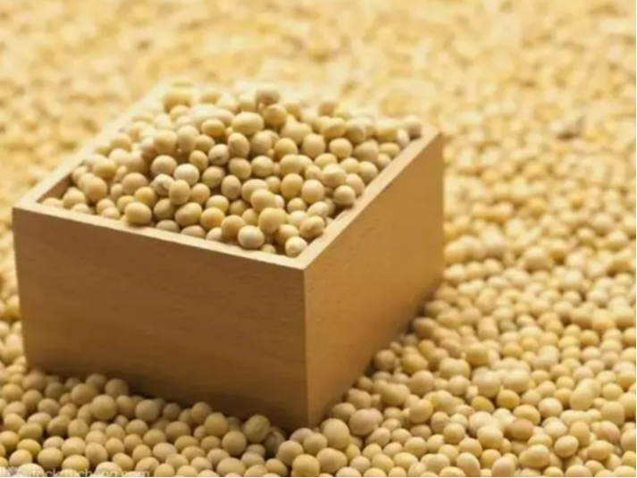 天津口岸进口大豆清关流程报关注意事项