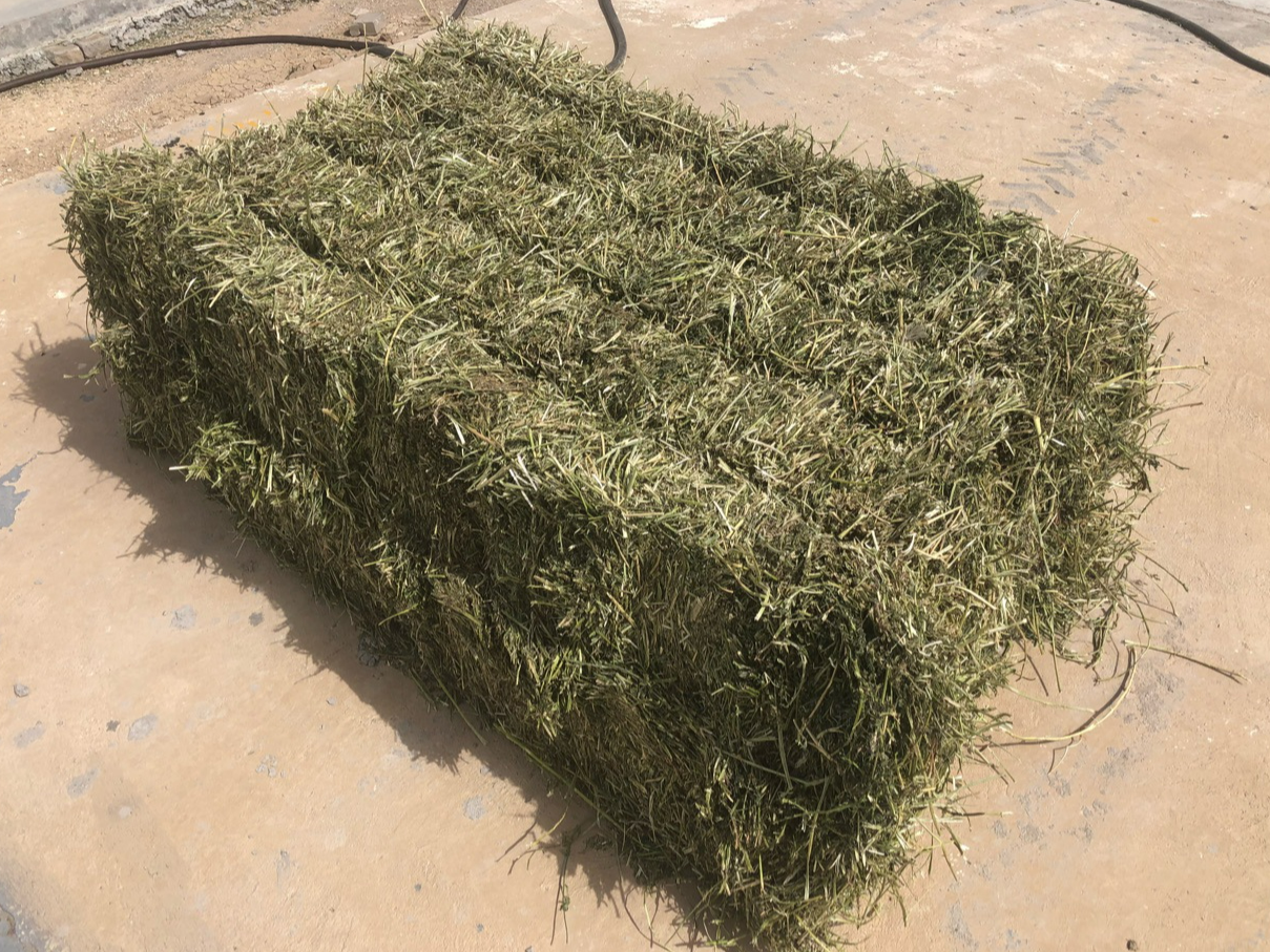 法国苜蓿草捆进口报关全流程报关报检注意事项