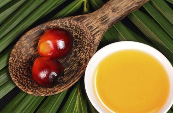 上海口岸棕榈油进口清关全流程