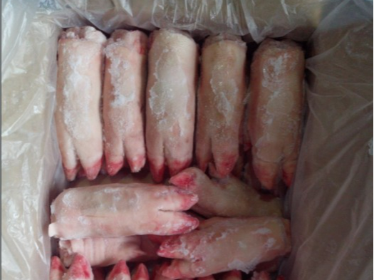 冷冻猪蹄天津港进口案例分享