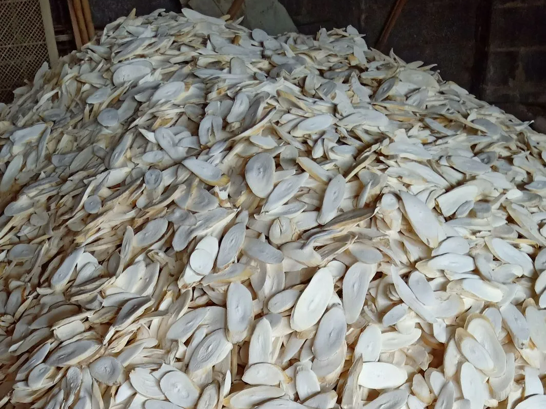 天津口岸进口木薯干：合规清关全流程与风险管